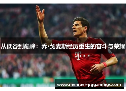 从低谷到巅峰：乔·戈麦斯经历重生的奋斗与荣耀