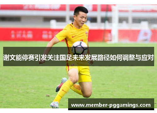 谢文能停赛引发关注国足未来发展路径如何调整与应对