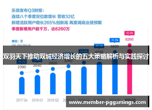 双羽天下推动双城经济增长的五大策略解析与实践探讨