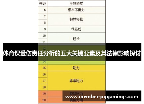 体育课受伤责任分析的五大关键要素及其法律影响探讨