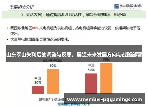 山东泰山失利后的调整与反思，展望未来发展方向与战略部署
