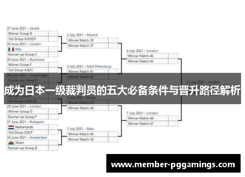 成为日本一级裁判员的五大必备条件与晋升路径解析