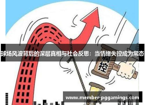 球场风波背后的深层真相与社会反思：当情绪失控成为常态