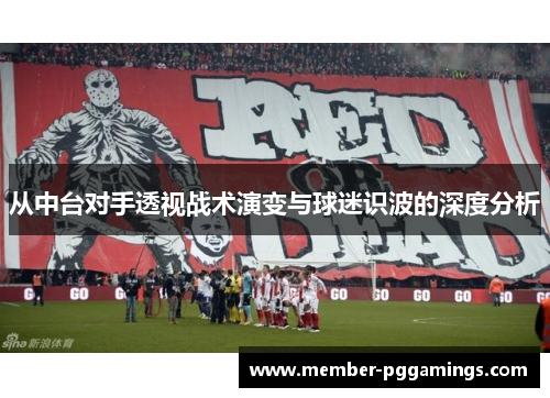 从中台对手透视战术演变与球迷识波的深度分析