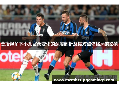 莫塔视角下小孔塞桑变化的深度剖析及其对整体格局的影响