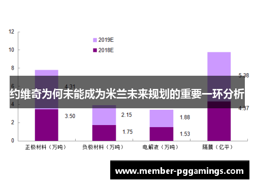 约维奇为何未能成为米兰未来规划的重要一环分析