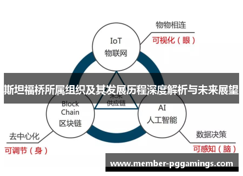 斯坦福桥所属组织及其发展历程深度解析与未来展望