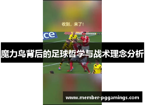 魔力鸟背后的足球哲学与战术理念分析