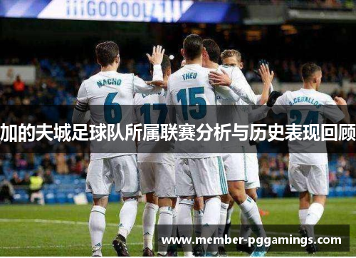加的夫城足球队所属联赛分析与历史表现回顾 加的夫城足球队所属联赛分析与历史表现回顾