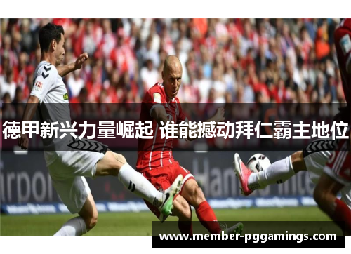 德甲新兴力量崛起 谁能撼动拜仁霸主地位