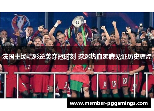 法国主场精彩逆袭夺冠时刻 球迷热血沸腾见证历史辉煌