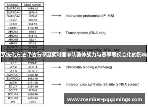 系统化方法评估伤停因素对国家队整体战力与赛事表现变化的影响
