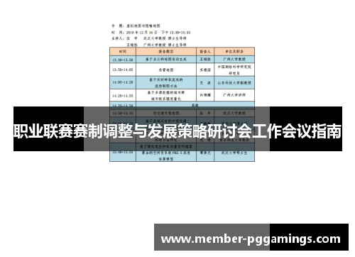 职业联赛赛制调整与发展策略研讨会工作会议指南 职业联赛赛制调整与发展策略研讨会工作会议指南