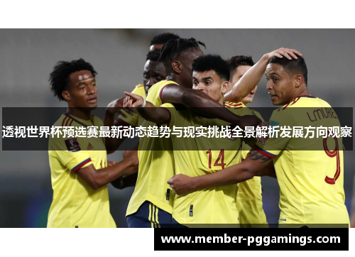 透视世界杯预选赛最新动态趋势与现实挑战全景解析发展方向观察